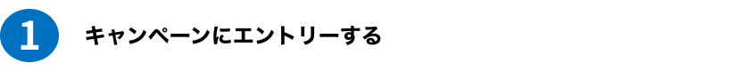 1 キャンペーンにエントリーする