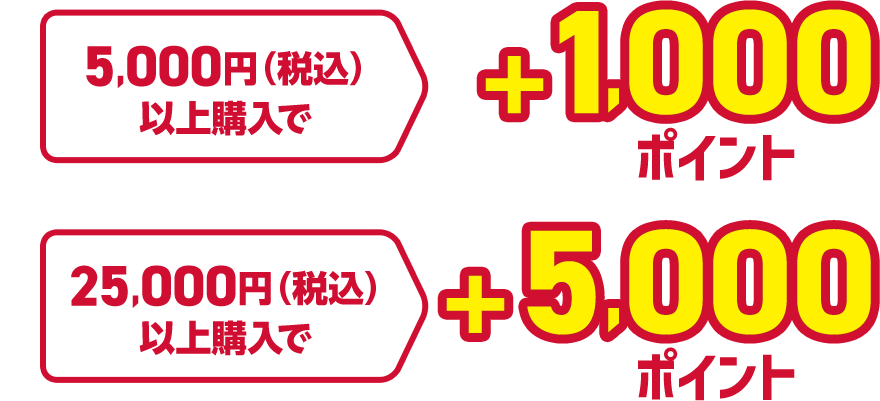 5,000円(税込)以上購入で+1,000ポイント 25,000円(税込)以上購入で+5,000ポイント