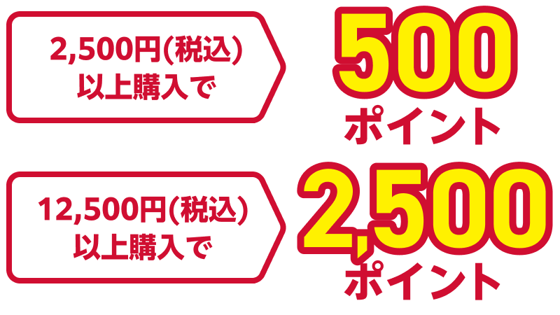 2,500円（税込）以上購入で500ポイント 12,500円（税込）以上購入で2,500ポイント