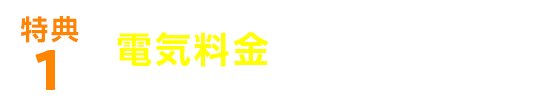 特典1.電気料金でポイントたまる