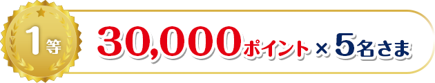1等 30,000ポイント×5名さま