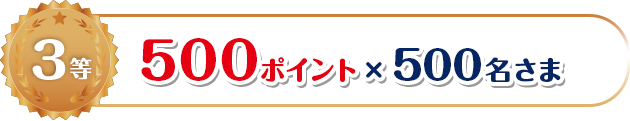 3等 500ポイント×500名さま