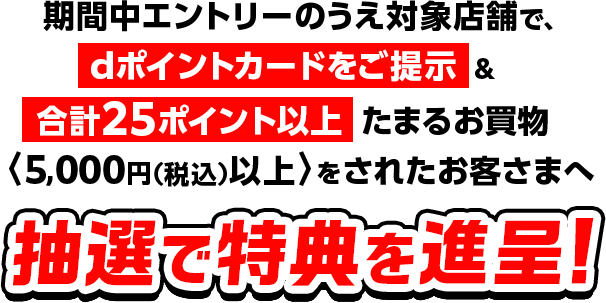 期間中エントリーのうえ対象店舗で、dポイントカードをご提示&合計25ポイント以上たまるお買物〈5,000円(税込)以上〉をされたお客さまへ抽選で特典を進呈！