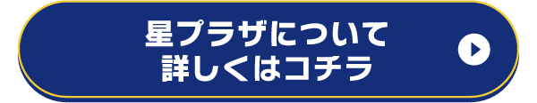 星プラザについて詳しくはコチラ