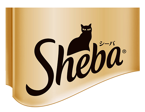 シーバ