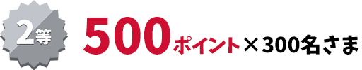 2等　500ポイント×300名さま