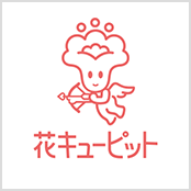 花キューピット