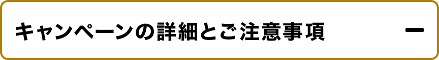 キャンペーンの詳細とご注意事項