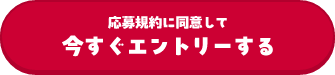 応募規約に同意して今すぐエントリーする