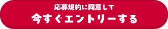 応募規約に同意して今すぐエントリーする