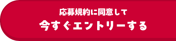 応募規約に同意して今すぐエントリーする