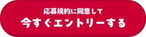 応募規約に同意して今すぐエントリーする