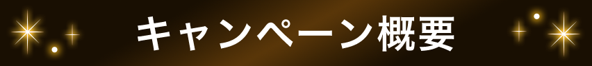 キャンペーン概要