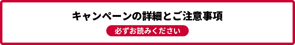 キャンペーンの詳細とご注意事項