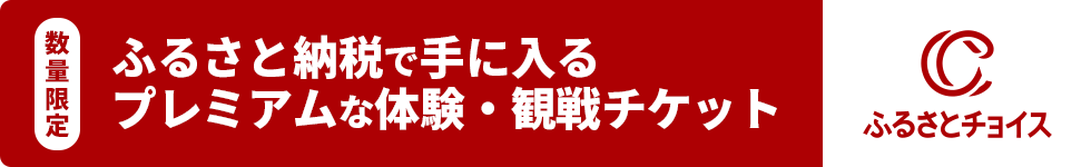 数量限定！ふるさと納税で手に入るプレミアムな体験・観戦チケット！