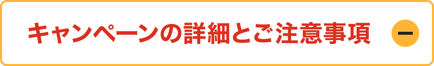 キャンペーンの詳細とご注意事項