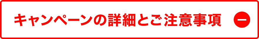 キャンペーンの詳細とご注意事項