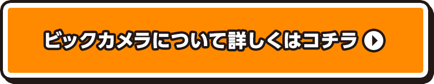 ビックカメラについて詳しくはコチラ