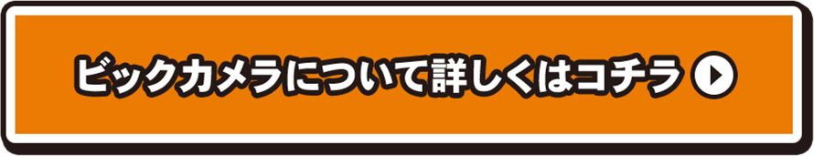 ビックカメラについて詳しくはコチラ