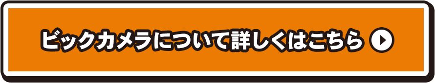 ビックカメラについて詳しくはこちら