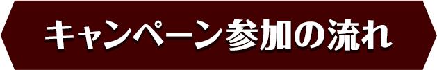 キャンペーン参加の流れ