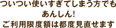 ついつい使いすぎてしまう方でもあんしん！ご利用限度額は都度見直せます