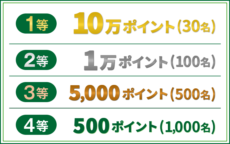 1等 10万ポイント (30名) 2等 1万ポイント (100名) 3等 5,000ポイント (500名) 4等 500ポイント (1,000名)