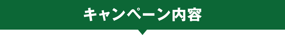 キャンペーン内容