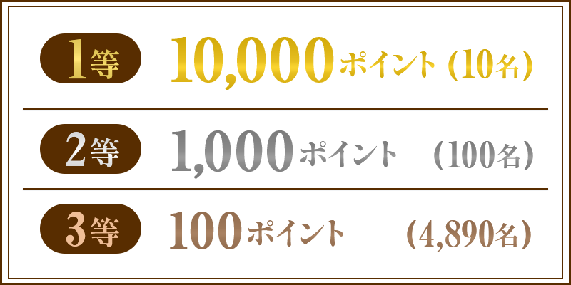 1等 10,000ポイント（10名） 2等 1,000ポイント（100名） 3等 100ポイント（4,890名）