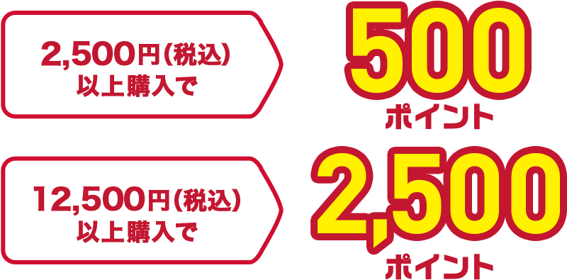 2,500円（税込）以上購入で500ポイント 12,500円（税込）以上購入で2,500ポイント