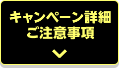 キャンペーン詳細 ご注意事項