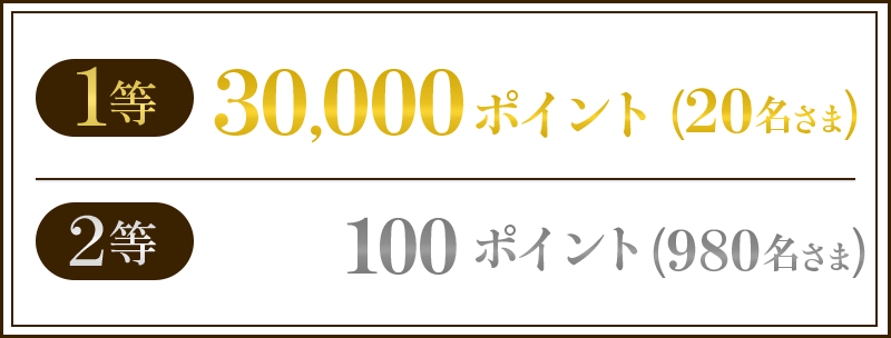 1等 30,000ポイント（20名さま） 2等 100ポイント（980名さま）
