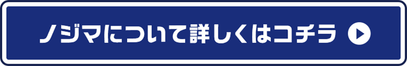 ノジマについて詳しくはコチラ