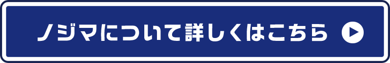 ノジマについて詳しくはこちら