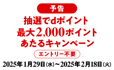 予告 抽選でdポイント 最大2,000ポイント あたるキャンペーン エントリー不要 2025年1月29日（水）～2025年2月18日（火）