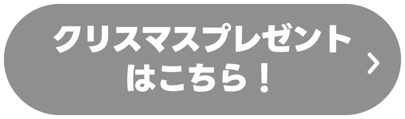 クリスマスプレゼントはこちら!