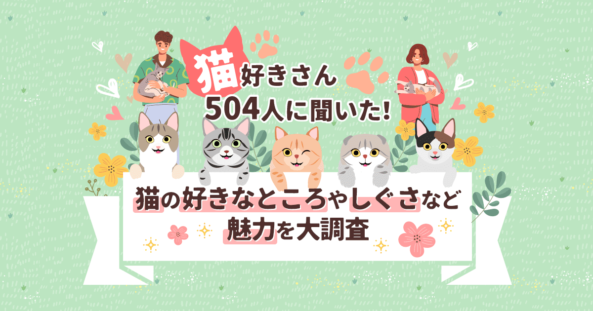 dポイントクラブ】猫好きさん504人に聞いた！猫の好きなところやしぐさ