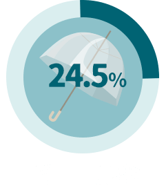ビニール傘24.5%
