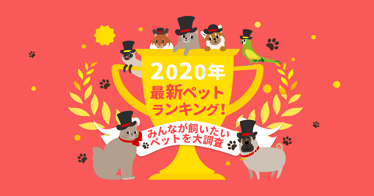 Dポイントクラブ 年最新ペットランキング みんなが飼いたい人気ペットを大調査 Dポイントクラブアンケート