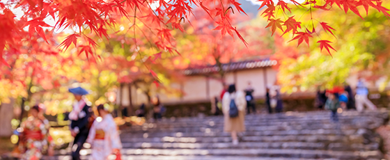 紅葉狩りって?今さら聞けない紅葉狩りの魅力やおすすめスポット、持ち物を経験者に聞いた!