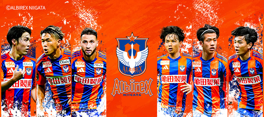 カードデザイン