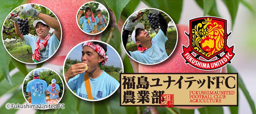 カードデザイン