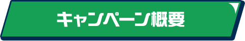 キャンペーン概要