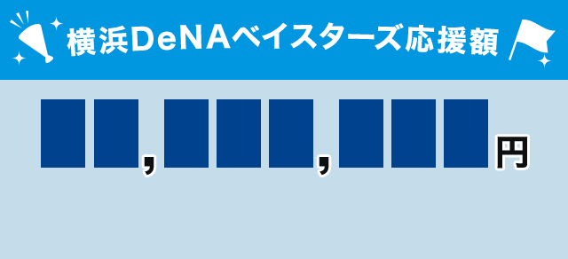 横浜DeNAベイスターズ応援額