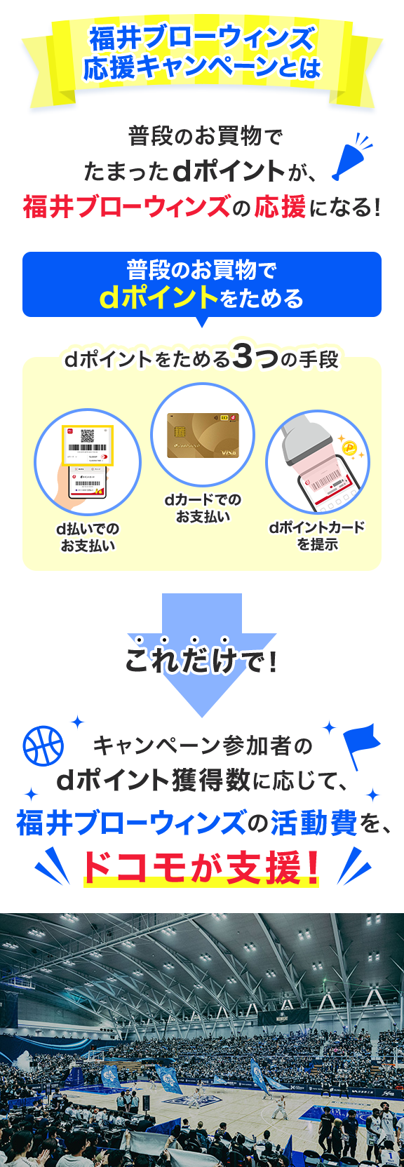 福井ブローウィンズ応援キャンペーンとは