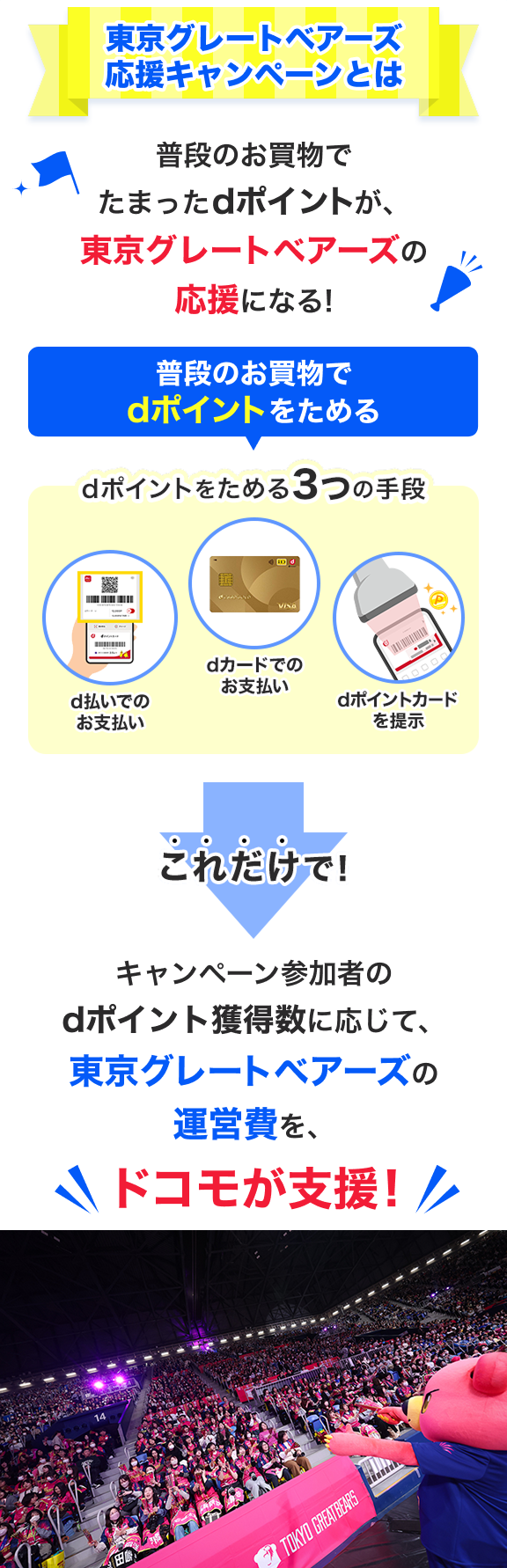 東京グレートベアーズ応援キャンペーンとは