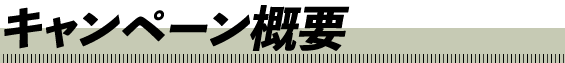 キャンペーン概要