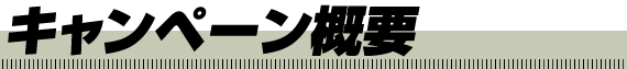 キャンペーン概要