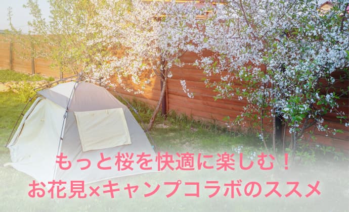 もっと桜を快適に楽しむ!お花見×キャンプコラボのススメ